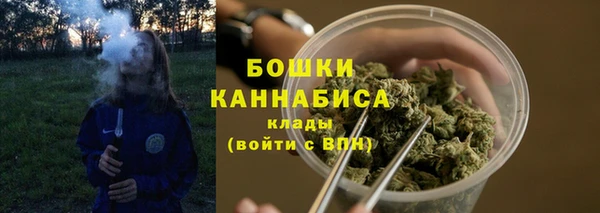 тгк Козельск
