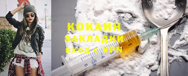 шишки Щёлкино