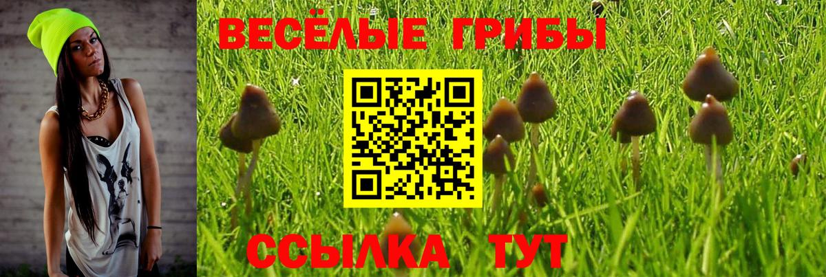 Галлюциногенные грибы прущие грибы Первоуральск